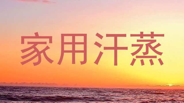 家用汗蒸