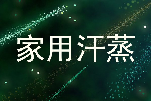 家用汗蒸