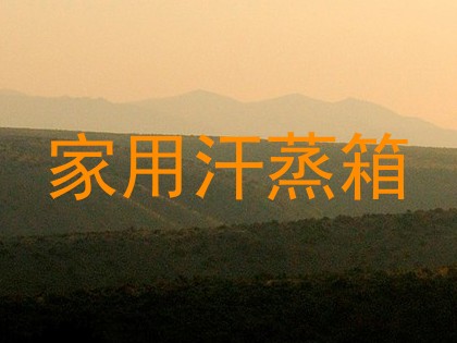 家用汗蒸箱
