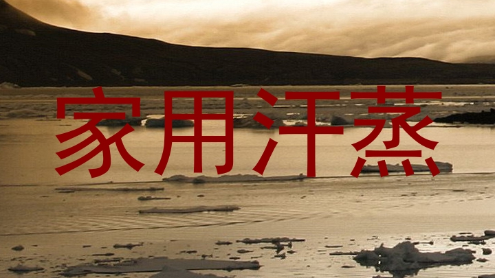 家用汗蒸