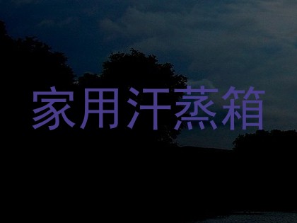 家用汗蒸箱