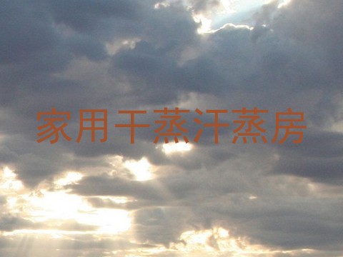 家用干蒸汗蒸房