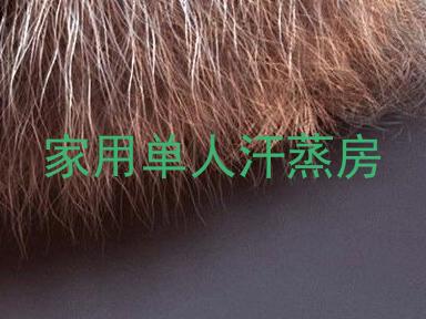 家用单人汗蒸房
