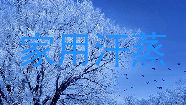 家用汗蒸