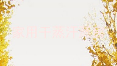 家用干蒸汗蒸房
