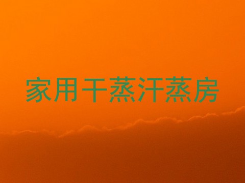 家用干蒸汗蒸房