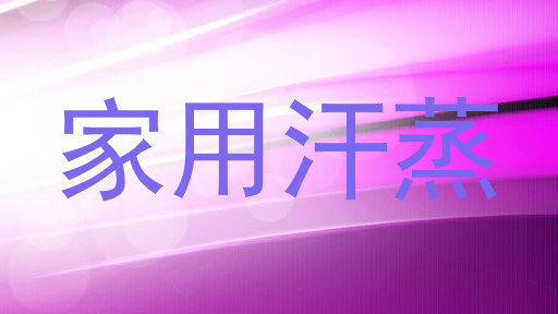 家用汗蒸