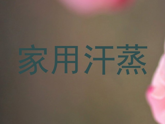 家用汗蒸