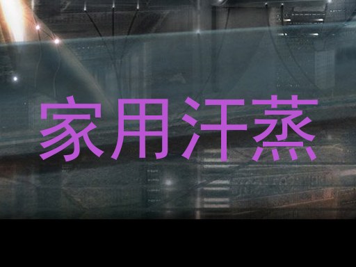 家用汗蒸