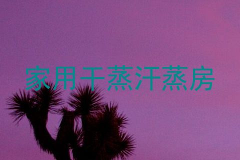 家用干蒸汗蒸房