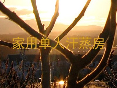 家用单人汗蒸房