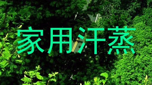 家用汗蒸