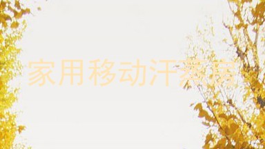 家用移动汗蒸房
