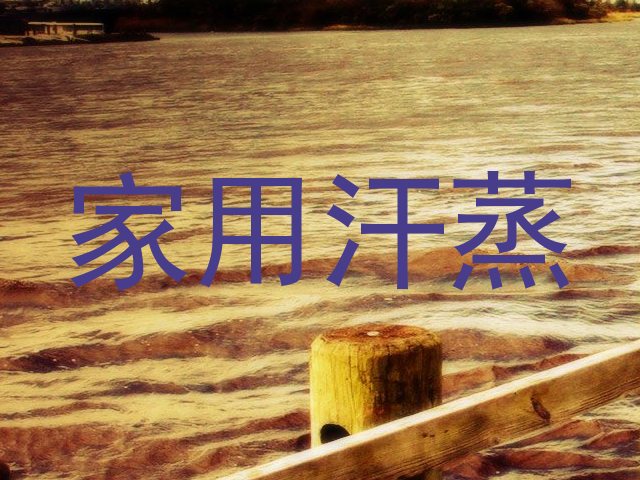 家用汗蒸