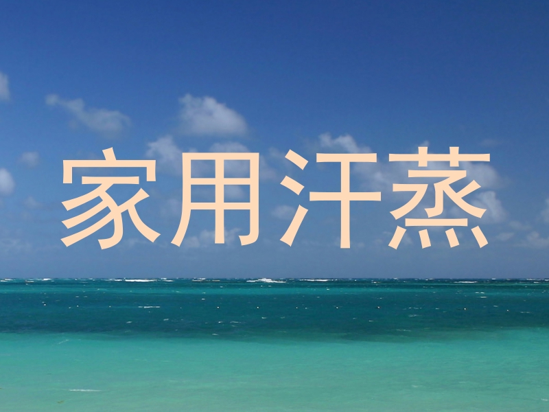 家用汗蒸