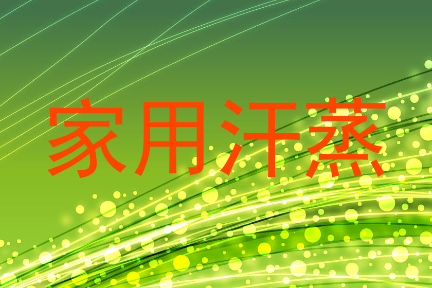 家用汗蒸
