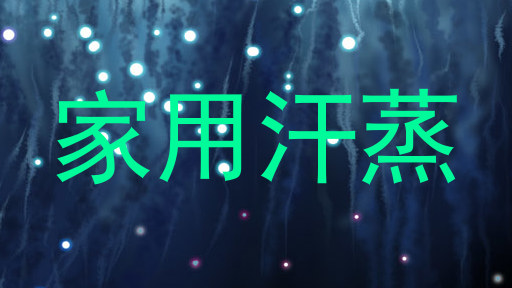 家用汗蒸
