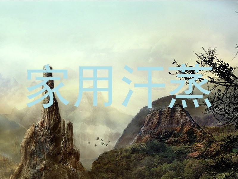 家用汗蒸
