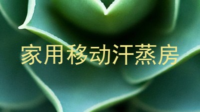 家用移动汗蒸房