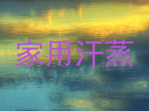家用汗蒸