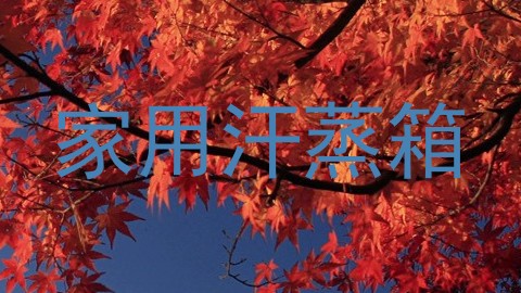 家用汗蒸箱