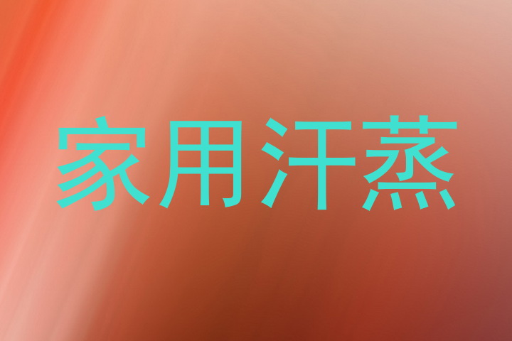 家用汗蒸