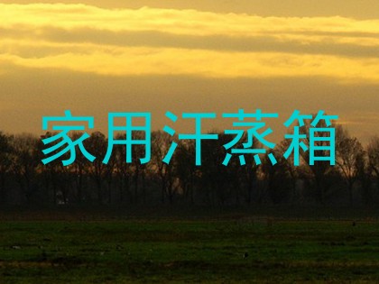 家用汗蒸箱