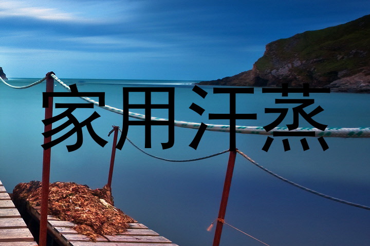 家用汗蒸