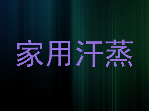 家用汗蒸