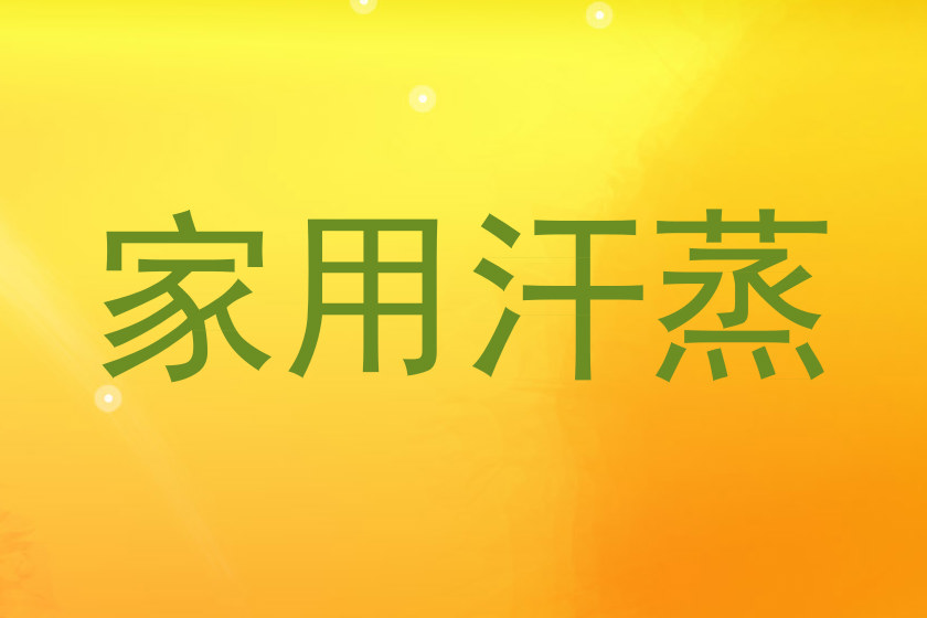 家用汗蒸