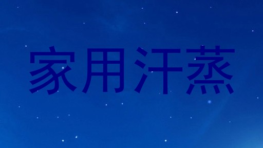 家用汗蒸