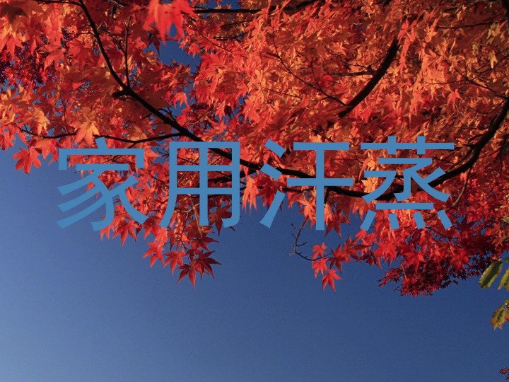 家用汗蒸