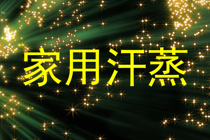 家用汗蒸