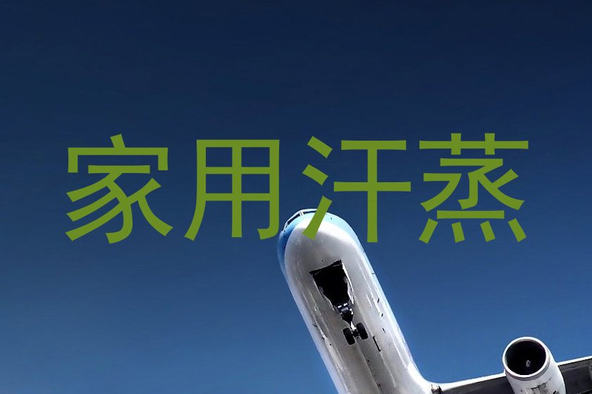 家用汗蒸