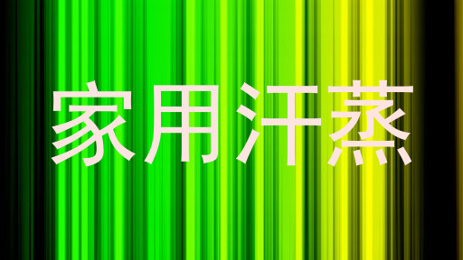 家用汗蒸