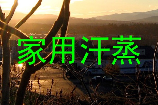 家用汗蒸