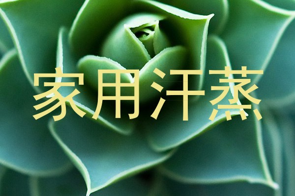 家用汗蒸