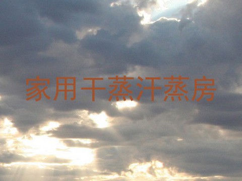 家用干蒸汗蒸房