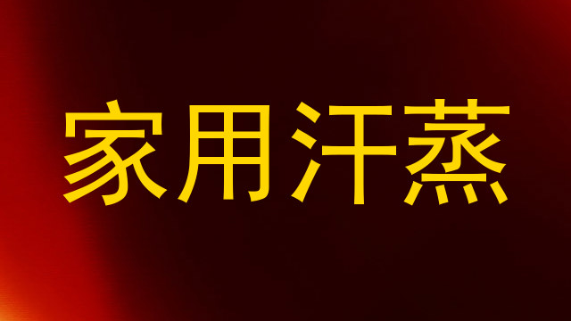 家用汗蒸