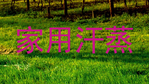 家用汗蒸