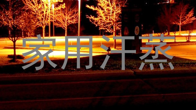 家用汗蒸