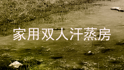家用双人汗蒸房