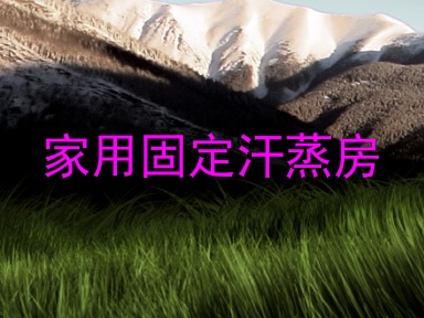 家用固定汗蒸房