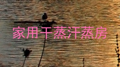 家用干蒸汗蒸房