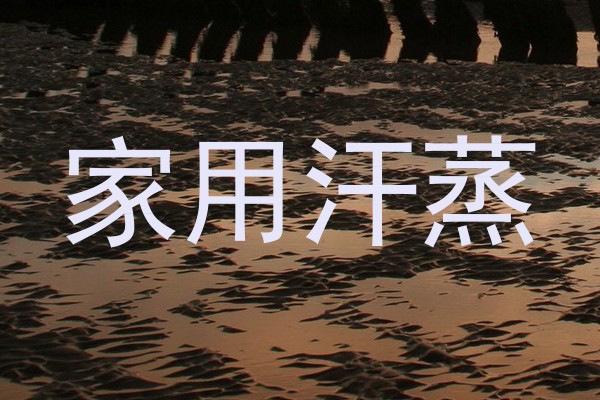 家用汗蒸