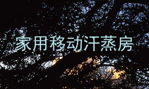 家用移动汗蒸房