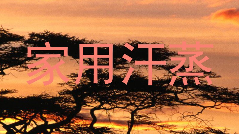 家用汗蒸