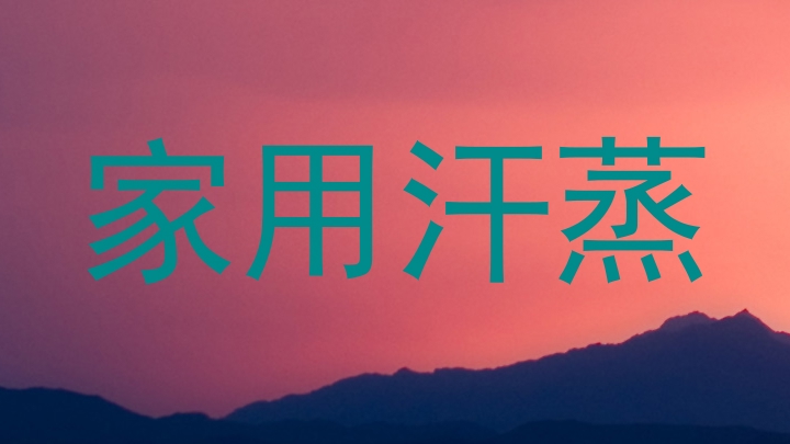 家用汗蒸
