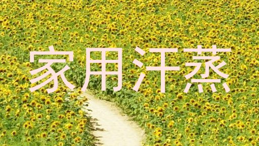 家用汗蒸