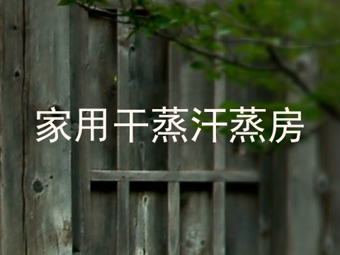 家用干蒸汗蒸房
